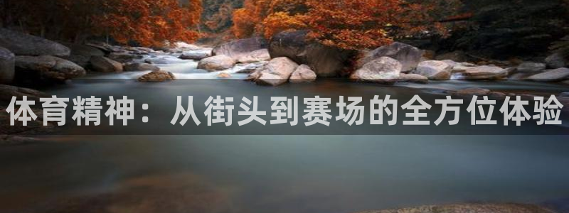 MK体育官网下载软件：体育精神：从街头到赛场的全方位