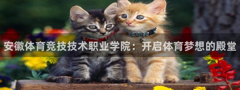 MK体育官网下载娱乐：安徽体育竞技技术职业学院：开启