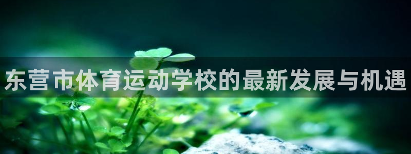MK体育官网下载平台APP：东营市体育运动学校的最新