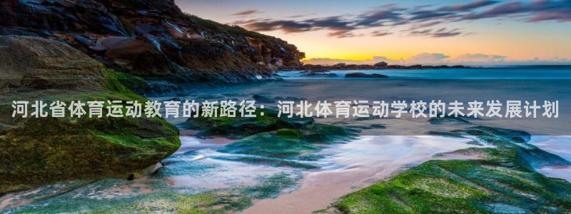 MK体育官方正版app新能源：河北省体育运动教育的新