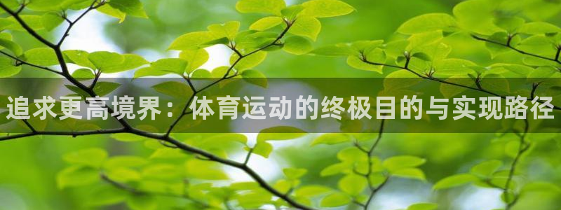 MK体育官方正版app娱乐下载：追求更高境界：体育运