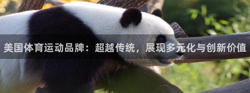MK体育官方正版app娱乐首页官网下载：美国体育运动