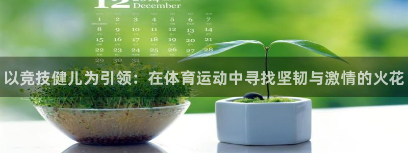 MK体育官方正版app娱乐首页官网下载：以竞技健儿为