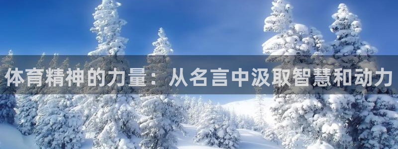 MK体育官网下载是干嘛的公司：体育精神的力量：从名言