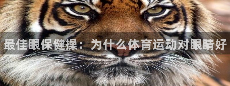 MK体育官方正版app官网：最佳眼保健操：为什么体育