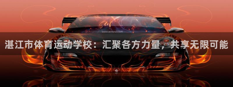 MK体育官方正版app集团E.ON：湛江市体育运动学