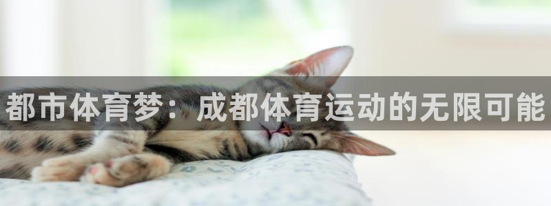 MK体育官方集团官网：都市体育梦：成都体育运动的无限