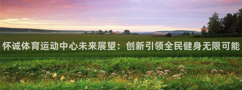 MK体育官网下载招商电话：怀诚体育运动中心未来展望：