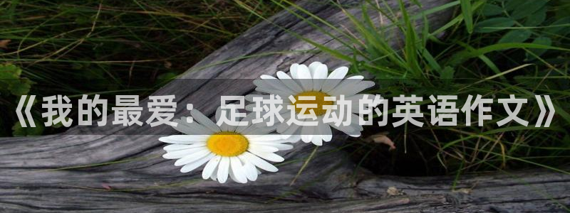 MK体育官网下载官方客服电话：《我的最爱：足球运动的