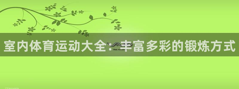 MK体育官网下载是干嘛的公司：室内体育运动大全：丰富多彩的锻