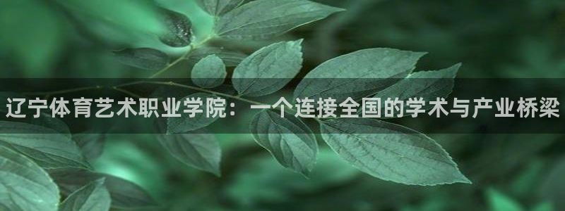 MK体育官网下载招商电话号码查询是多少：辽宁体育艺术职业学院