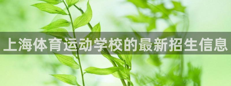 MK体育官网下载开户：上海体育运动学校的最新招生信息