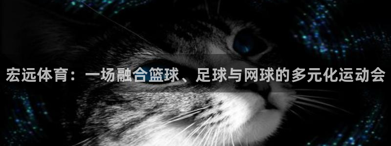 MK体育官网下载招商电话号码是多少啊