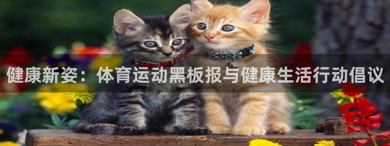 MK体育官网下载开户：健康新姿：体育运动黑板报与健康生活行动