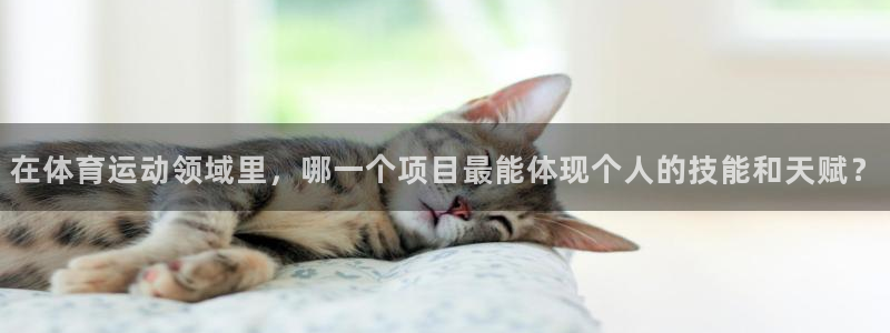 MK体育官网下载招商电话是多少号码：在体育运动领域里，哪一个