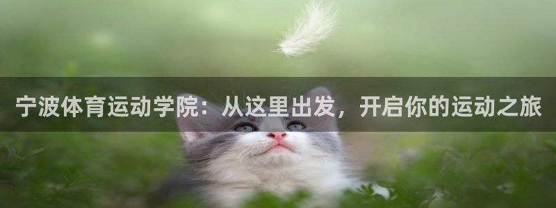 海南MK体育官网下载发展怎么样