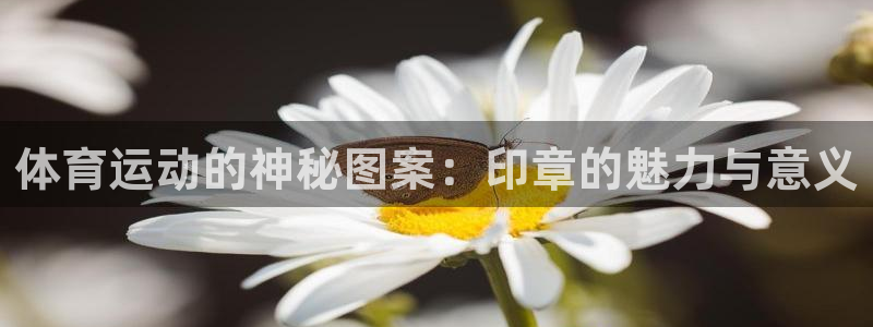MK体育官方正版app集团E.ON：体育运动的神秘图