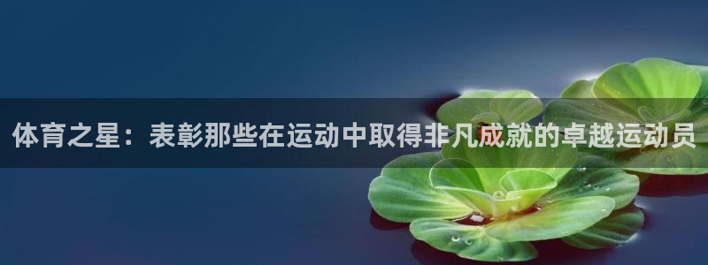 MK体育官方正版app开户：体育之星：表彰那些在运动