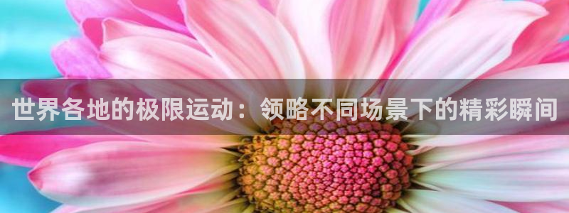 MK体育官网下载招商电话是多少：世界各地的极限运动：