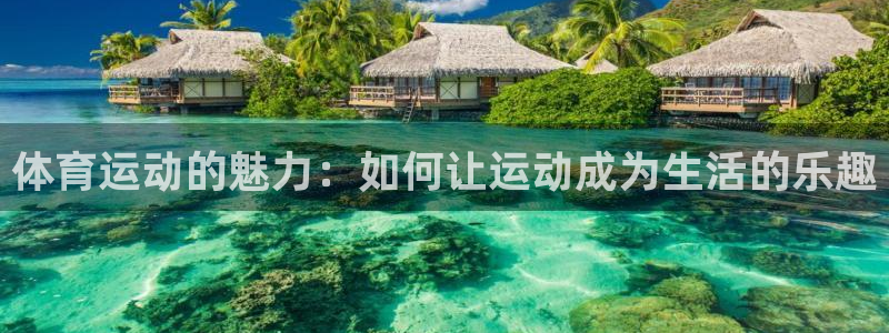 MK体育官网下载招商电话是多少：体育运动的魅力：如何