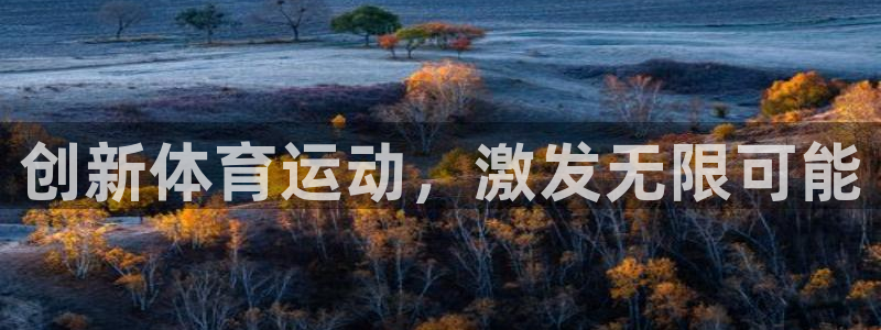 MK体育官网下载联系电话：创新体育运动，激发无限可能