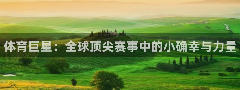 MK体育官方正版app娱乐网站