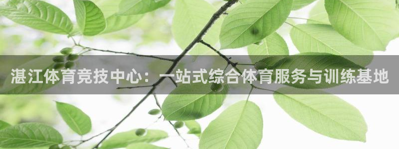 MK体育官网下载是干嘛的公司：湛江体育竞技中心：一站式综合体
