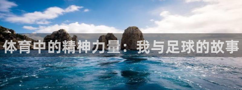 mk体育在线官网入口