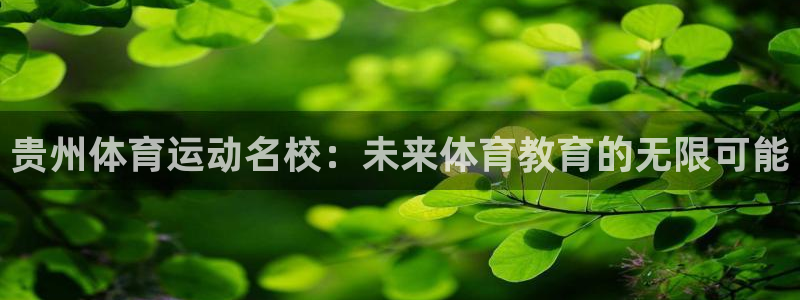 mk体育黑吗