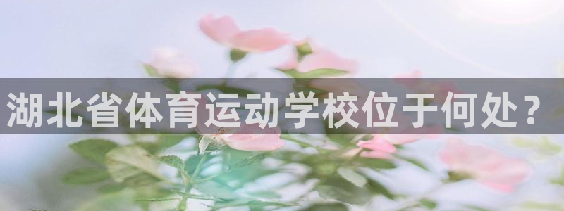 mk体育恩波利